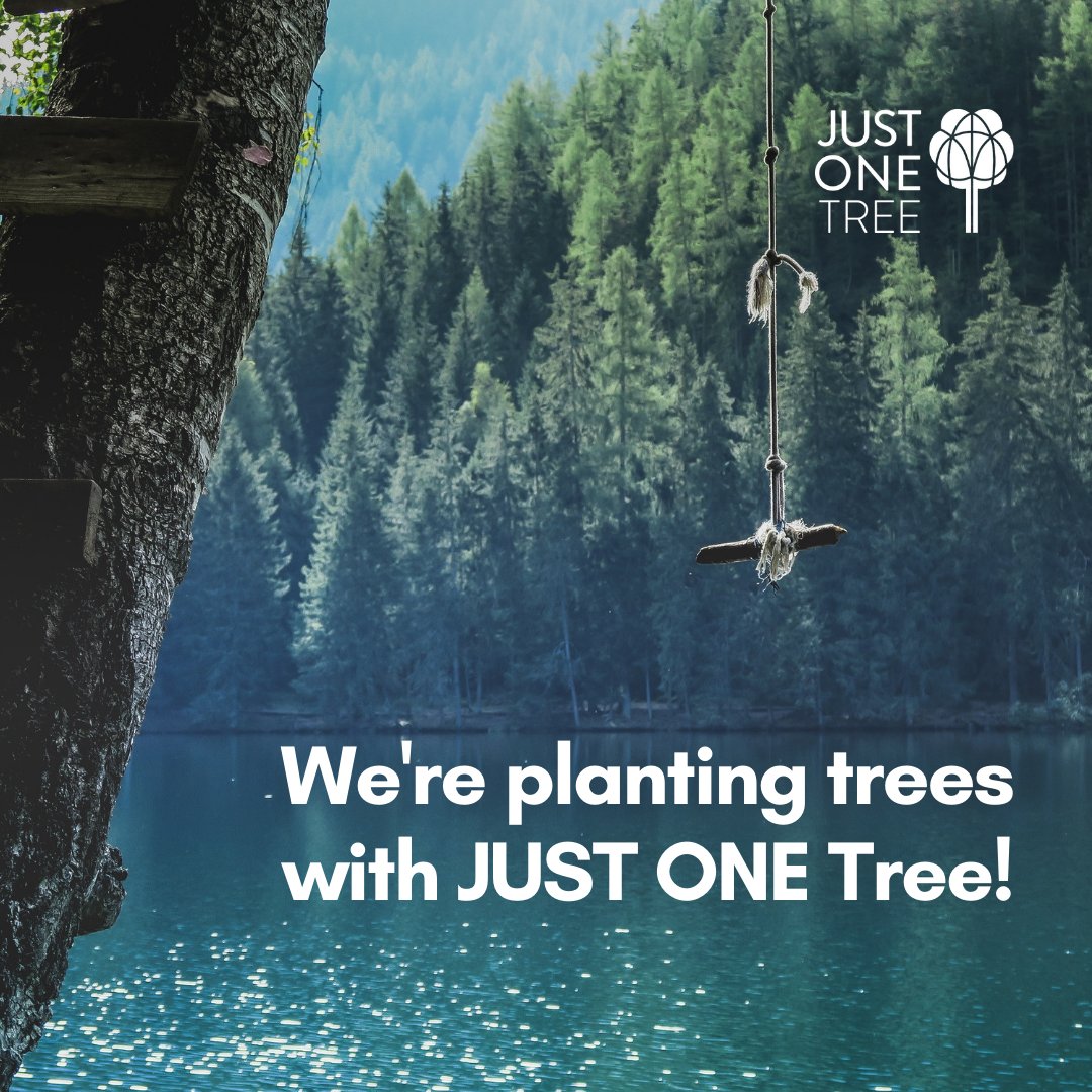 harveyandhugo's tweet image. We&apos;ve planted 254 trees since September with @justonetree as part of our pledge to support #sustainability 🌳🌳🌱tree-rific! #treepun