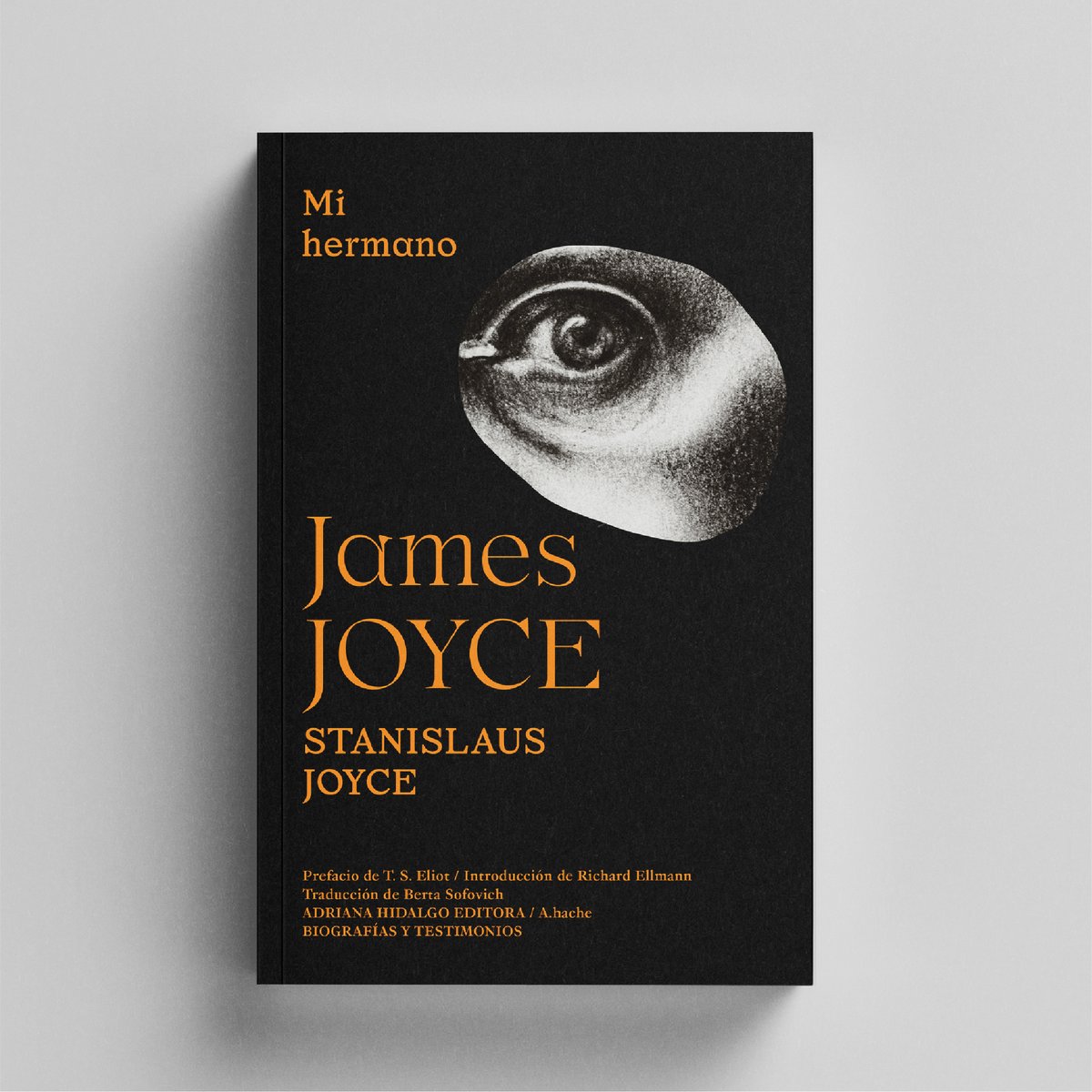 La vida en Dublín y la topografía de la ciudad en «Mi hermano James Joyce».
En la imagen: un tranvía eléctrico en Irlanda, alrededor de 1906.

#SaintPatricksDay #SanPatricio  #Irlanda