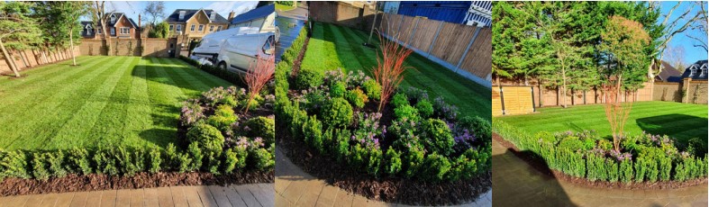 Another beautiful front garden landscaped by Graeme and Eduardo in Ascot.  Thank you for all your hard work.
#Kingstonlandscapegroup #landscaping #garden #gardendesign #greatjob #ascot #thankyou #work #goodjob
