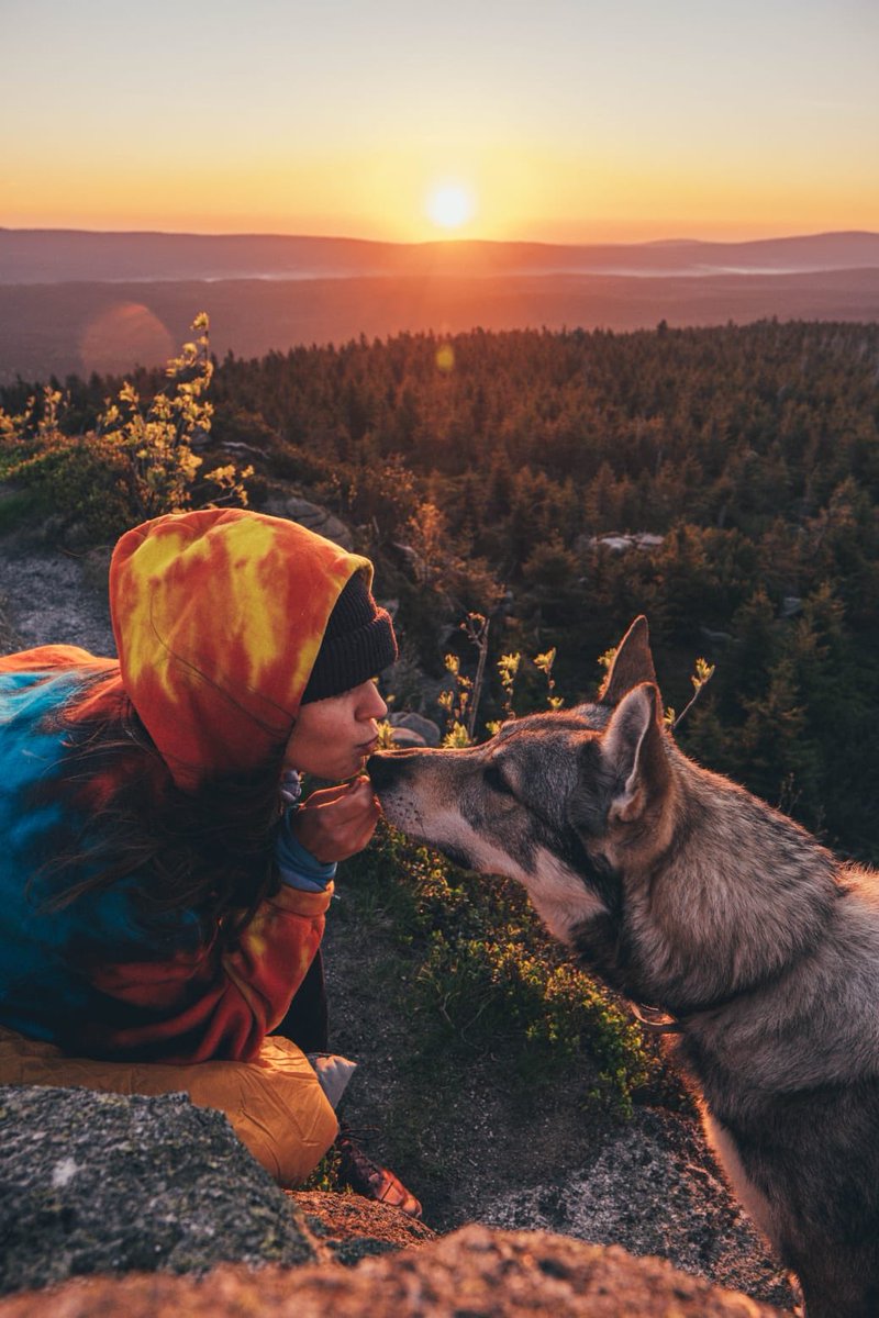 GM everyone: Where is your mind ?🌲🕊   #naturelovers #sunrise #sitkathewolf #wolfmate