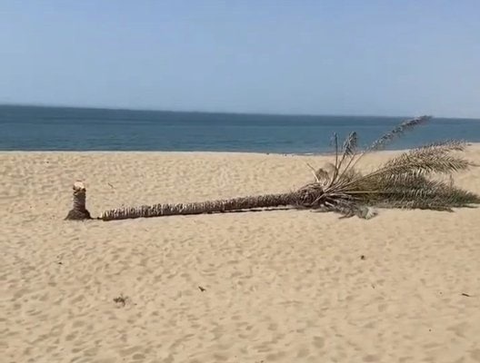 KashkoliAli's tweet photo. این جنایت ؛ کار هر قاتل بی وجدانی بوده است باید دستگیر و مجازات شود .. چرا که غیر از اینکه به محیط زیست و زیبایی آنجا ضربه زده است ؛ مهم تر از آن قاتل یک نفر نیز بوده است .. #درک #ساحل_درک https://t.co/otsoF6j1LS