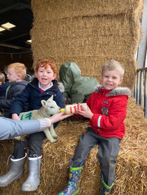 AcademyWalton's tweet photo. EYFS enjoyed the farm yesterday! ๐ด๐๐ We were able to stroke the animals, feed the lambs and explore the tractor! #WPAEYFS https://t.co/6m8iAUHtGx