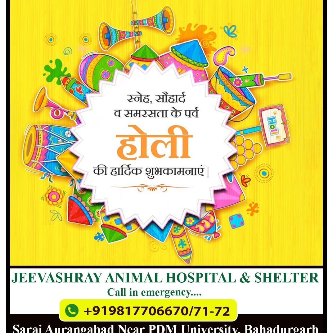 Jeevashray Animal Hospital & Shelter tweet media