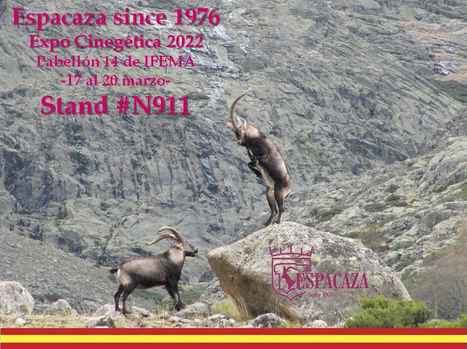 ¡Ven a visitarnos a <a href="/expocinegetica/">Expo Cinegética</a>! Os esperamos en el STAND N911. #expocinegetica #espacaza #sialacaza #caza #hunt #cazayconservacion #jagd #chasse #grandslamspaishibex #monterias #rehala #perrodecaza