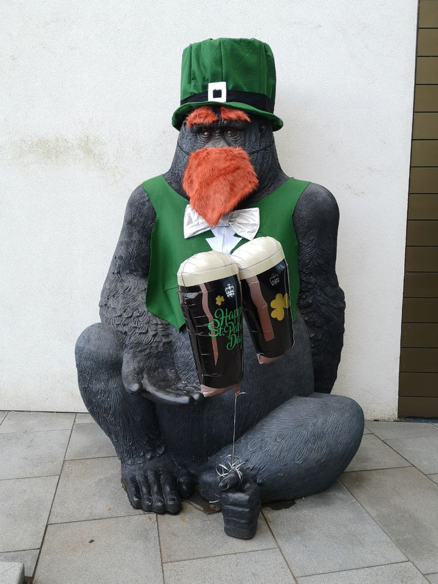 Moneypenny's tweet photo. What do you call an Irish Gorilla? 🍀🇮🇪🦍🤔💭

...

Seriously, what do you call an Irish Gorilla? Get your answers in the comments 👇🏾 there's a prize in it for the best one!🌈🧦

#StPatricksDay #luckoftheirish #maytheroadrisetomeetyou https://t.co/2bs09wQRxI