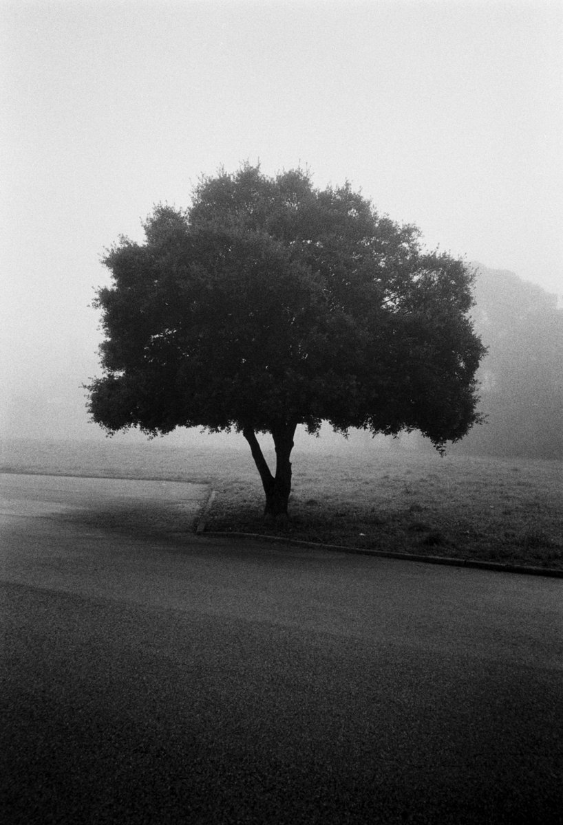 elserventi's tweet photo. @FlakPhoto Hey Andy, thanks for asking!! Some pictures from my serie Vertical Affair. https://t.co/nu0sZjtKsa