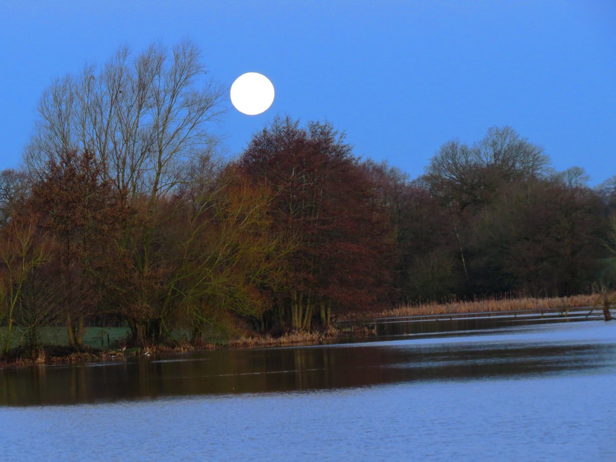 Jack March Photography📸 tweet media