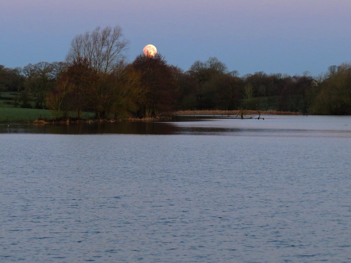 Jack March Photography📸 tweet media