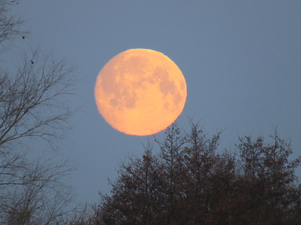 Jack March Photography📸 tweet media