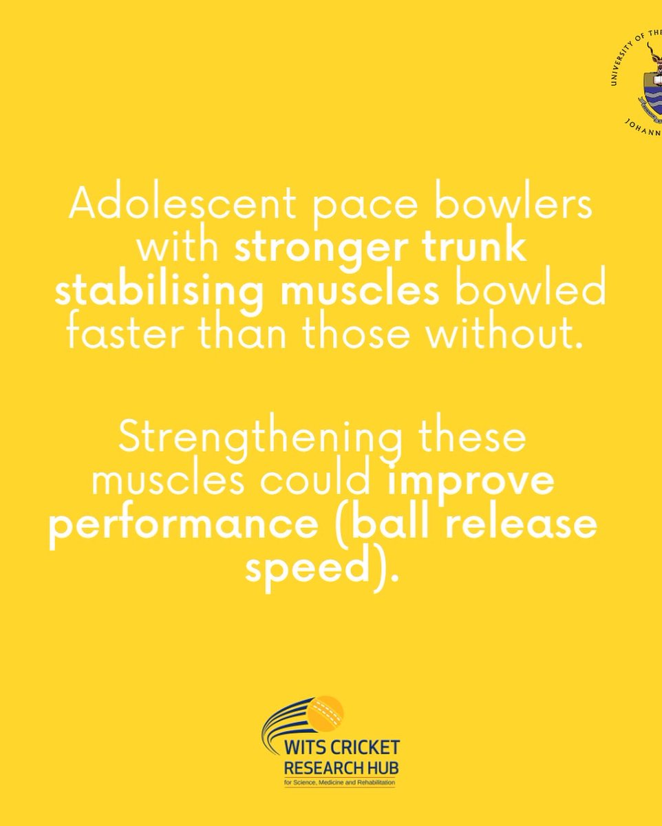WitsCricketRH's tweet photo. Stronger trunk muscles can affect bowling performance. Including strength endurance type exercises in bowlers conditioning programmes can therefore not only help prevent injury but also booste performance. 
 #coretraining #bowling #injury#cricket@WitsCricketRH @BenitaOlivier https://t.co/9qtxINEwn6