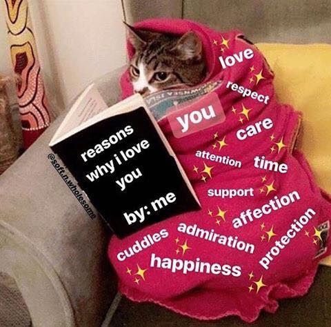 inniefinitv's tweet photo. @Stray_Kids Just the most relevant meme I had hope you have a wonderful day https://t.co/CpRHIpTFQC