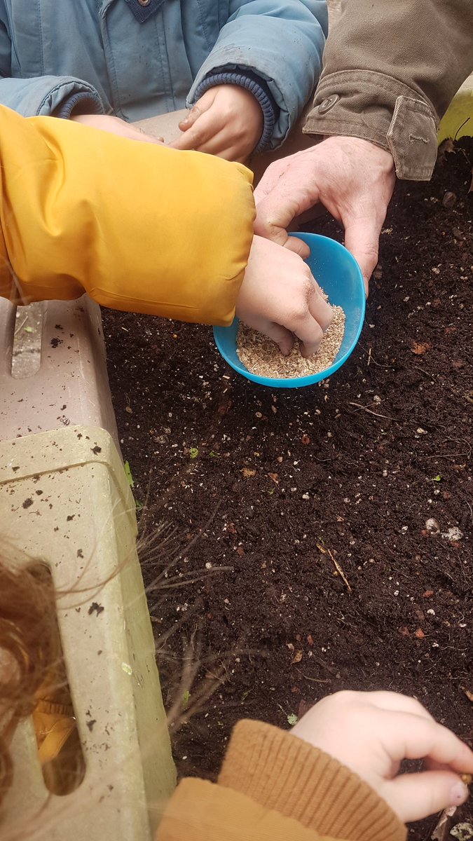fortspourdemain's tweet photo. 🌱1er atelier de Printemps🌱
avec les Maternelles MS, GS

Dans 1 forêt-jardin, après les arbres on s'occupe des semis

Ils ont ameubli la terre puis ont semé des fleurs (soucis, rose d'inde, immortelle, lavatère..) associés à radis,
 Et plus loin d'autres légumes

Vivement le ☀️ https://t.co/eXFcRHpd4q