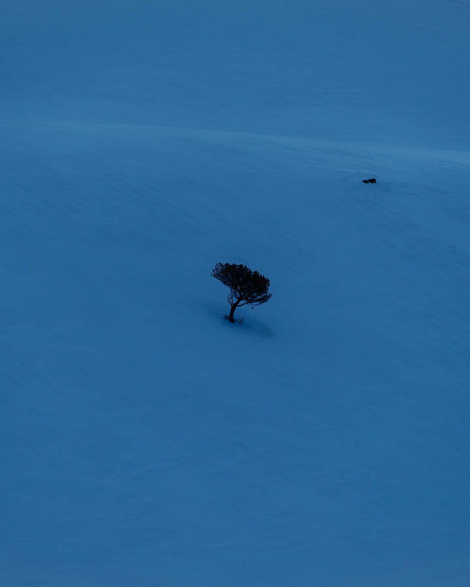 Pol Solé tweet media