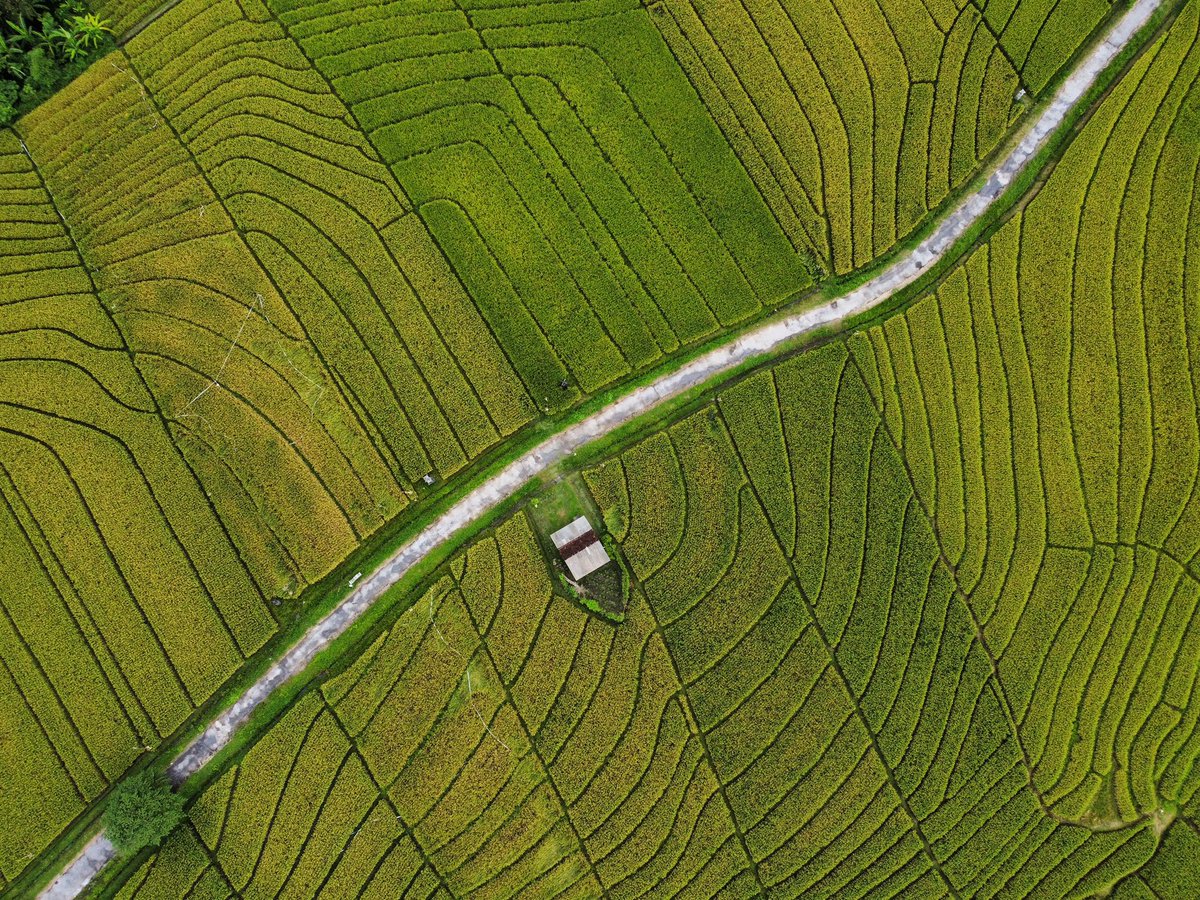 Malv_in_a's tweet photo. Balinese landscape by me https://t.co/xVH9m5fSHX