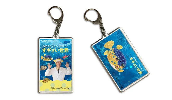 新江ノ島水族館 on X: 