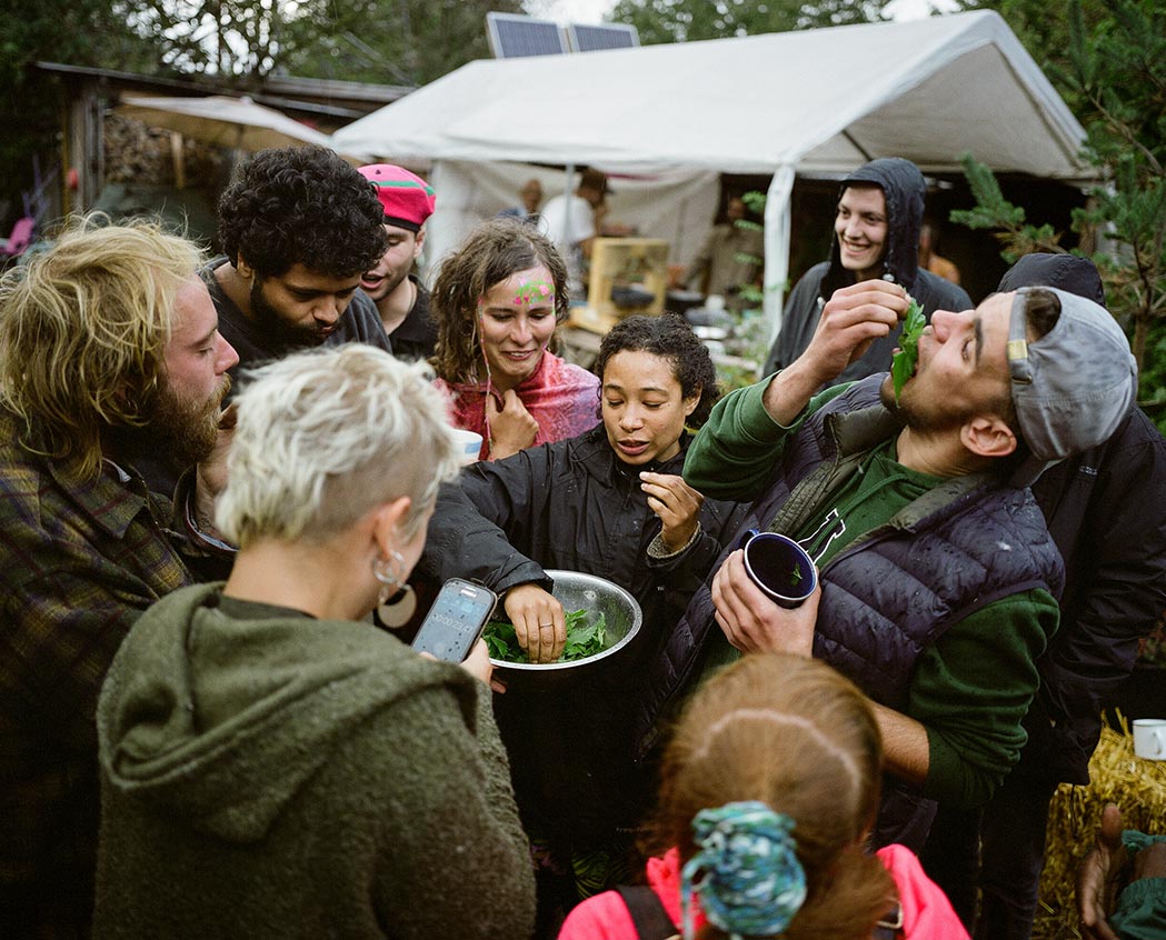 Jonathan Goldberg tweet media