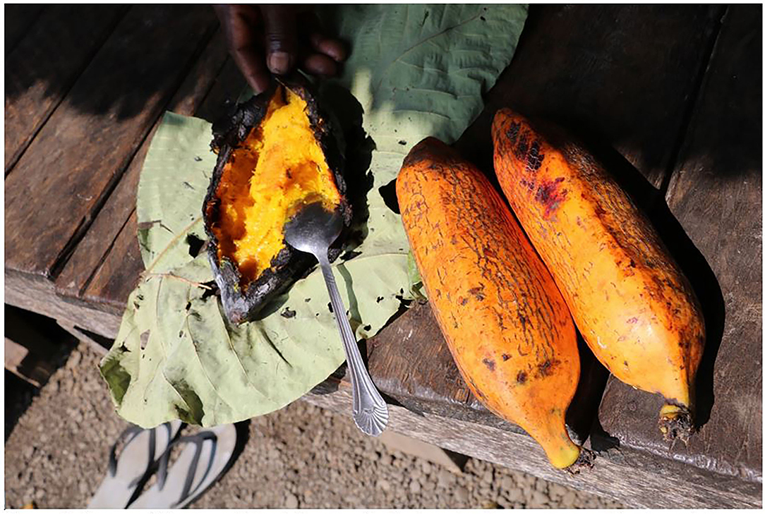 Jessica E. Raneri (@jessica_raneri) on Twitter photo ARE YOU #BANANAS FOR FE'I BANANAS?! Naturally high in #vitamin A - one of the Pacific's #superfoods but neglected by research & underutilised by consumers. Oh the #nutrition potential! More here: frontiersin.org/articles/10.33…
<a href="/DrSarahBurkhart/">Dr Sarah Burkhart</a> <a href="/ACIARAustralia/">ACIAR</a> <a href="/spc_cps/">Pacific Community</a> <a href="/NUS_Community/">NUS Community</a> ARE YOU #BANANAS FOR FE'I BANANAS?! Naturally high in #vitamin A - one of the Pacific's #superfoods but neglected by research & underutilised by consumers. Oh the #nutrition potential! More here: frontiersin.org/articles/10.33…
<a href="/DrSarahBurkhart/">Dr Sarah Burkhart</a> <a href="/ACIARAustralia/">ACIAR</a> <a href="/spc_cps/">Pacific Community</a> <a href="/NUS_Community/">NUS Community</a>