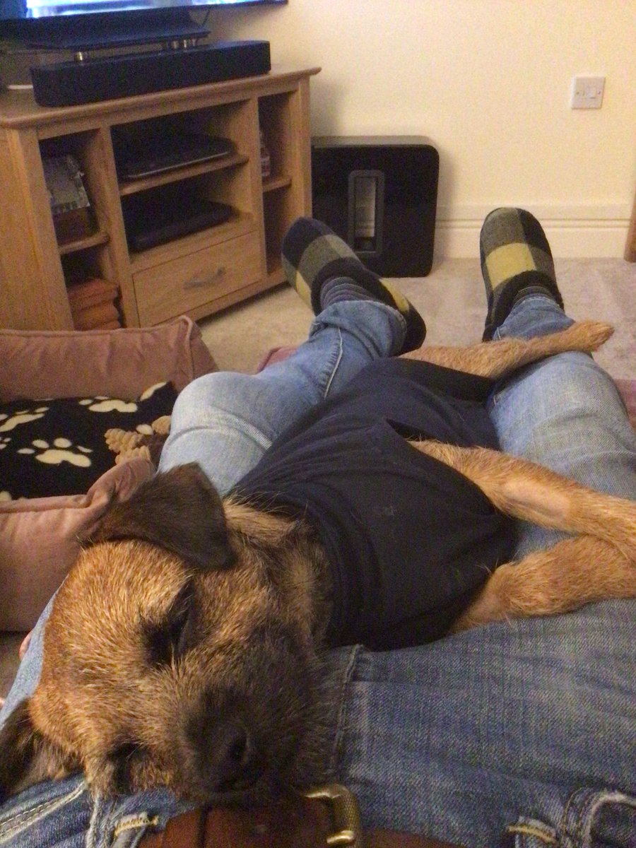AndyMonsey's tweet photo. Happy 1st Birthday Mabel 🐾🥳❤️ https://t.co/5GOtd18pv2