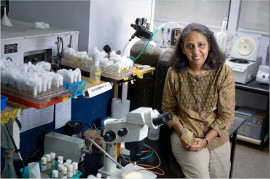 NCBS_Bangalore's tweet photo. #brainawarenessweek2022 

We present you a gist of the work by @GaitiHasan &amp; her group. They have been exploring how #calcium functions in #neurons, and how disruption of these processes can cause various #NeurodegenerativeDiseases. 

See more:  https://t.co/UBcdulRGSO

1/9 https://t.co/GFTD6jXFA5
