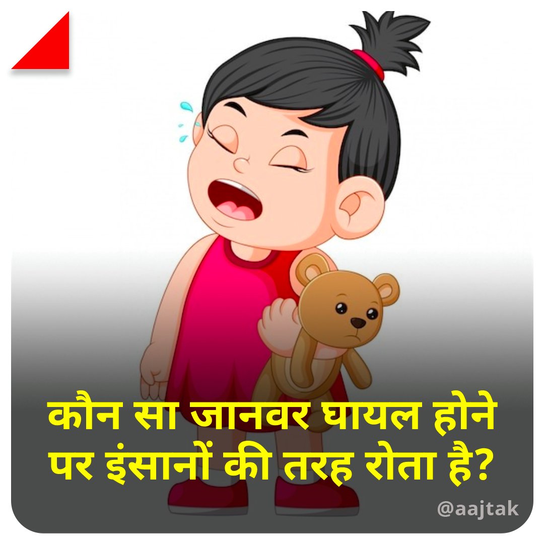 aajtak's tweet photo. कौन सा जानवर घायल होने पर इंसानों की तरह रोता है? सही जवाब के लिए मिलेंगे शाम 7 बजे। #YourSpace #ATCard https://t.co/D9rTbIVx5r