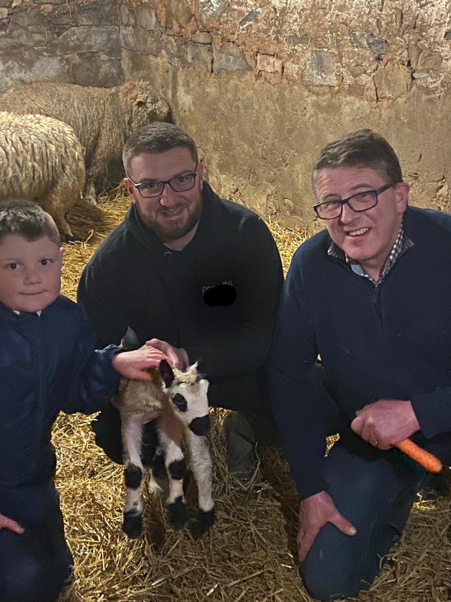The last lamb of 2022 born yesterday evening a lovely ewe lamb out of a texel Cross ewe from our Kerry Hill Ram. Also had a Pure Kerry Hill Tup Lamb born, he looks like he will be a smasher #sheep365 <a href="/Sheep_365/">Sheep_365 🐑</a> #nativebreeds <a href="/nativebreedsGB/">#NativeBreeds</a> <a href="/lamlacvolac/">Lamlac</a>