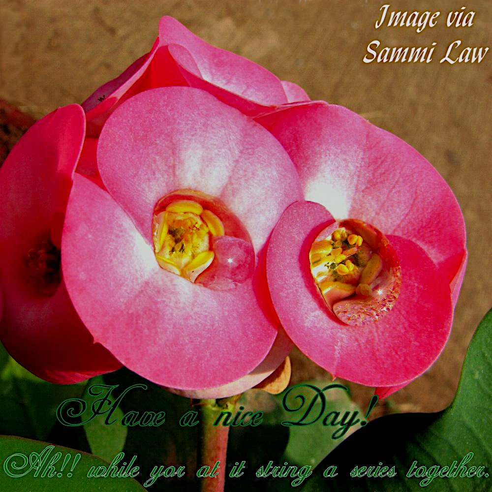 Some images are more taciturn than others. 
Some tell very long stories, don’t they?

Opensea.io/SammiLaw
#NFTCollection

If you paused, please pass it on.

#ReTweetPlease
#NFTCommumity 
#NFTCommmunity