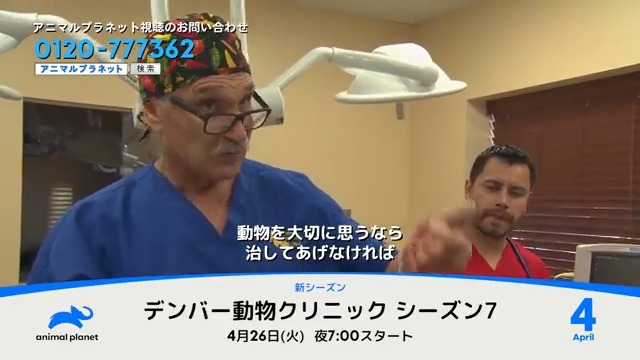 ディスカバリーチャンネル アニマルプラネット 4月おすすめラインナップ 各番組の詳細 T Co Afnxnkpow2 デンバー動物クリニック シーズン7 4月26日 火 19 00 ペットライフsp 4月18日 月 23 00スタート ワイルド フランク ディスカバリーチャンネル アニマルプラネット 4月おすすめラインナップ 各番組の詳細 T Co Afnxnkpow2 デンバー動物クリニック シーズン7 4月26日 火 19 00 ペットライフsp 4月18日 月 23 00スタート ワイルド フランク