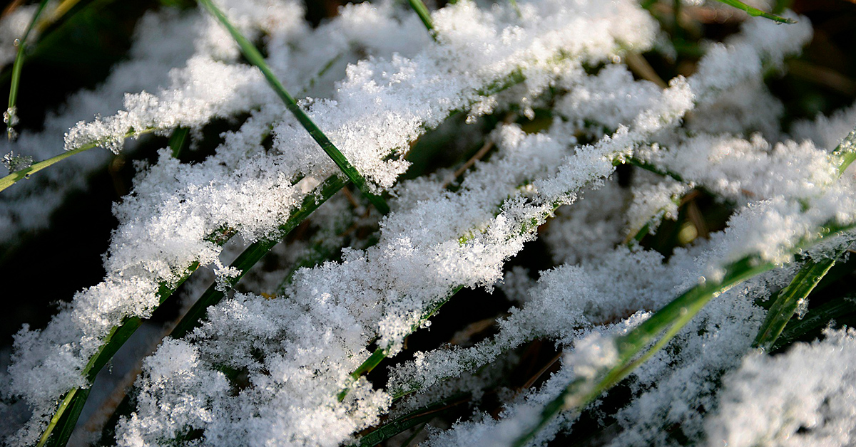 Gasmet_Tech's tweet photo. Warm winters, increased greenhouse gas emissions. Soils respire more CO2 when not frozen and trees uptake less #CO2 by photosynthesis with less sunshine. We interviewed a researcher from @LukeFinland on the subject:
https://t.co/zxVgv6jAqJ https://t.co/0VhRD1BC8v