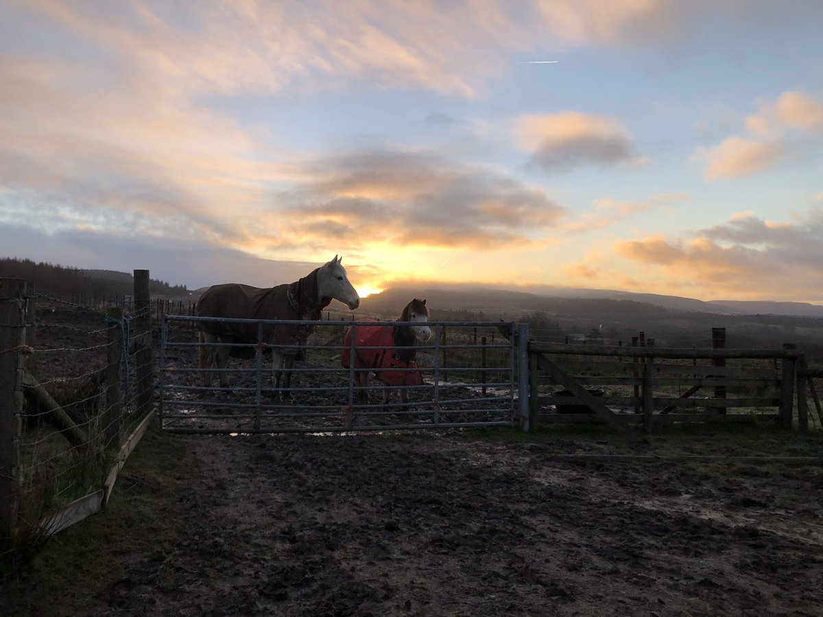 JenneyCreative's tweet image. Some mornings it’s worth the early start…