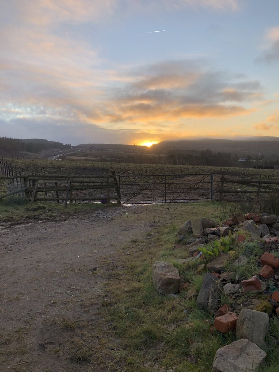 JenneyCreative's tweet image. Some mornings it’s worth the early start…