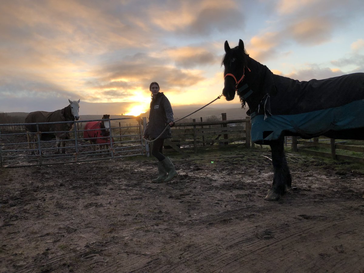 JenneyCreative's tweet image. Some mornings it’s worth the early start…