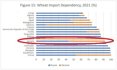 NRC_Egeland's tweet photo. Ukraine &amp; Russia produced 90%+ of #Somalia’s wheat imports last year. With wheat prices soaring and drought worsening, the number of people that can be fed will explode, unless there is aid. 

We must not forget the impacts of the #RussiaUkrainewar on other vulnerable nations. https://t.co/QZExrJ0lRZ