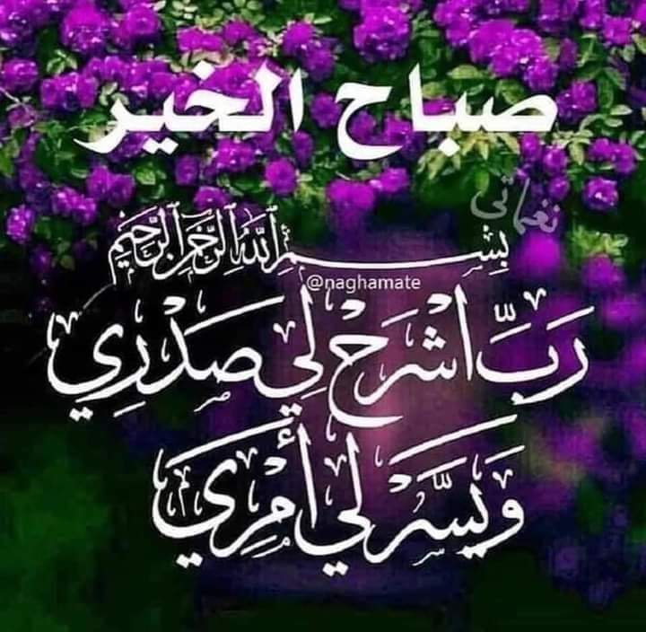 Slama A Mustafa (@mustafa1_slama) on Twitter photo 