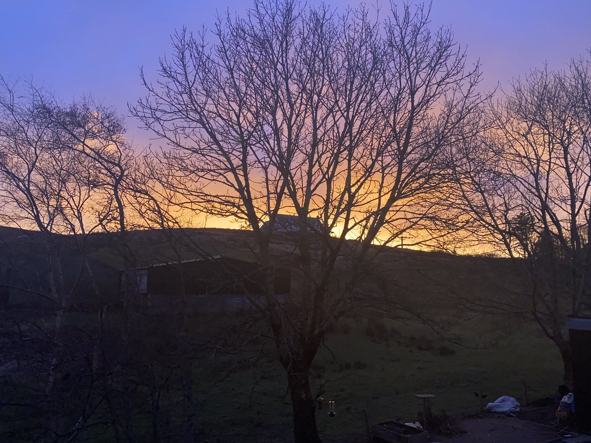MillburnSkye's tweet photo. Early mornings have their benefits. Sunrise behind, rainbow in front.  

#sunrise #rainbow #skyeweather #Skye #bedandbreakfastlife #visithighlands #highlands #lifeonskye #scotlandiscalling https://t.co/ZoblvoJONb