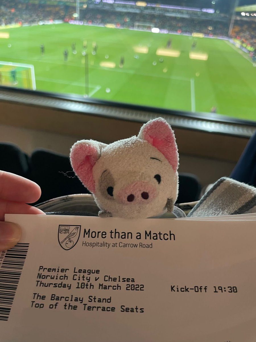 DobbyPig471's tweet photo. Daily Piggy

Piggy went on his travels to Carrow Road to watch @NorwichCityFC take on @ChelseaFC
Piggy was buzzing over his seat, &amp; the view. 
#NORCHE 
#Yellows
#2022
#PigsGoneWild
#PigsBehavingBadly https://t.co/RdUCZVK471