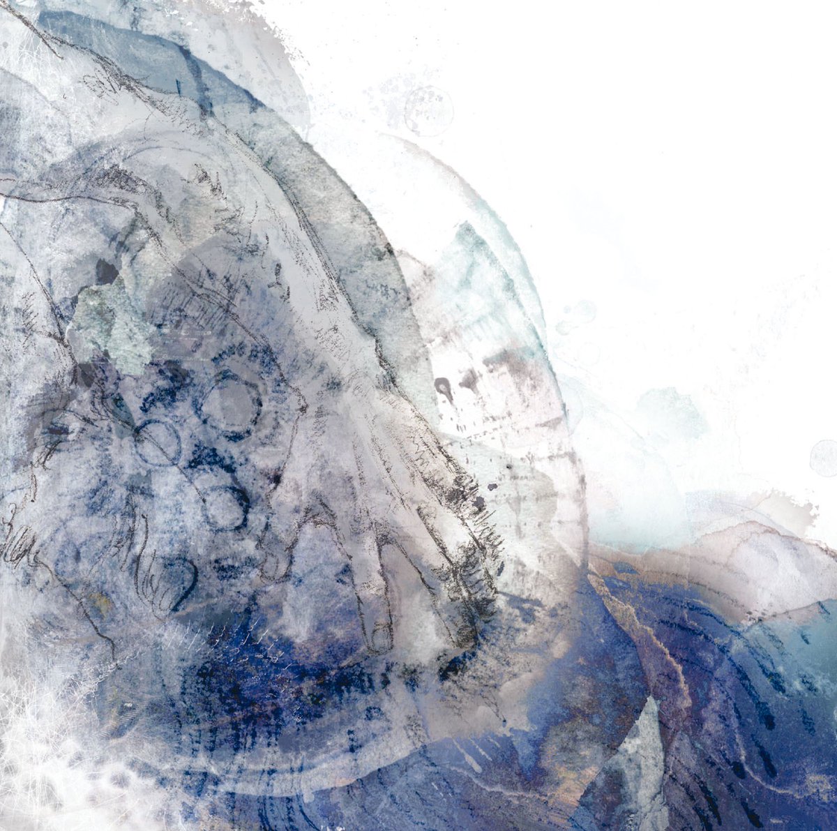 E Radio エフエム滋賀 S Tweet キャッチ木曜日 この時間は Eve さんからの コメントをオンエアしました Oo0eve0oo お聞き逃した方は Radiko Fm滋賀 Eradio 杉浦なおや Trendsmap