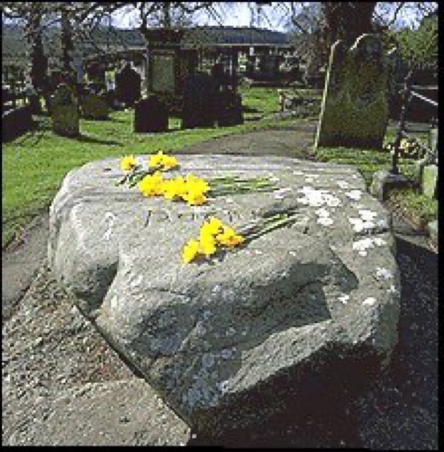 It’s that time of year again. 

Lá 'le Pádraig sona dhaoibh! 

(Other Gaelic languages are available).

May the road rise with you

#StPatricksDay