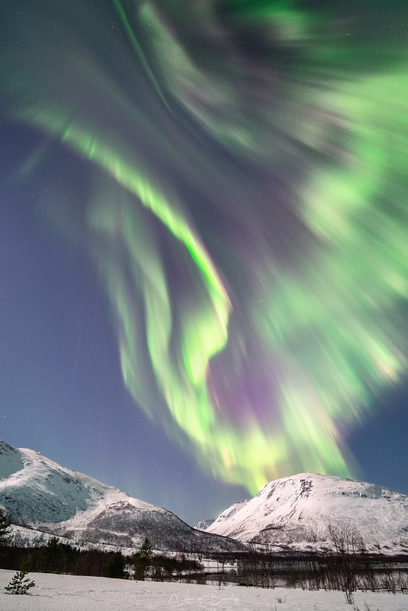VincentVoyage's tweet photo. Good morning ! This happened two nights ago from a sudden https://t.co/RXNePFfCQa