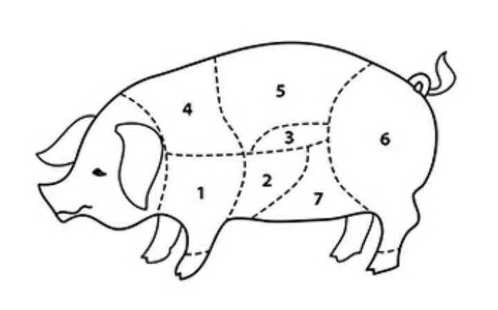 Схема поросенка. Части тела свиньи. Части туши свиньи. Части тела поросенка. Схема свиньи.