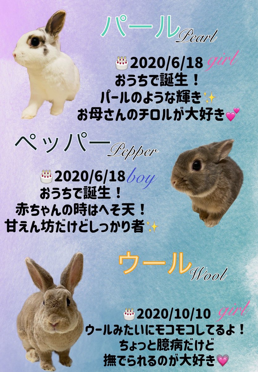 クッキー姉 tweet media