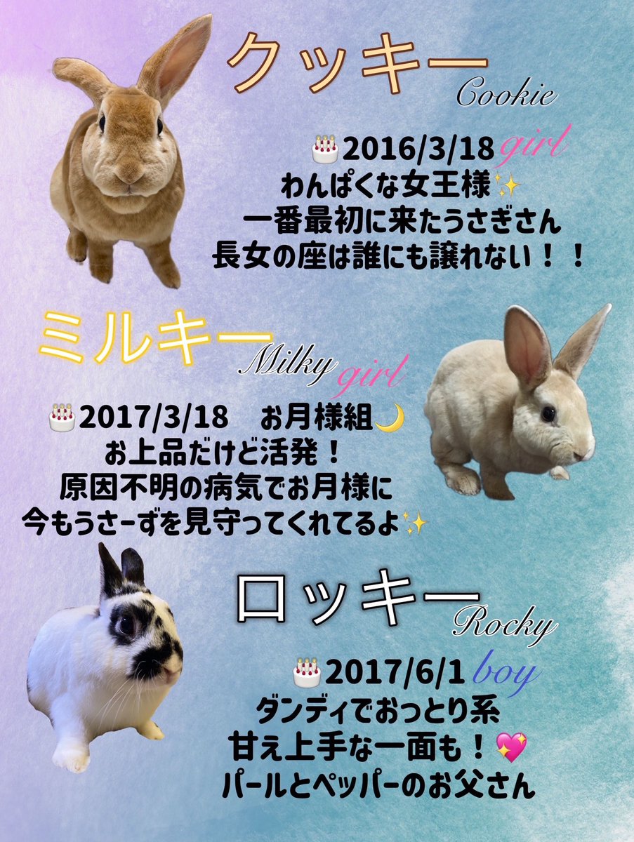 クッキー姉 tweet media