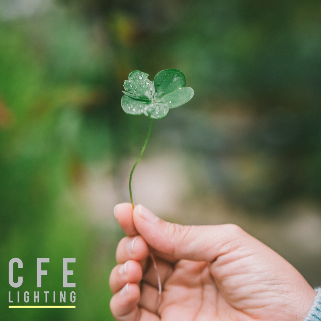 CFELighting_'s tweet photo. CFE Lighting would like to wish our Irish customers a happy St Patrick's Day! It's always a pleasure to work with, and visit, our friends across the sea. We hope for the first time in a long time you can enjoy some celebrations. #stpaddysday #customers #celebrations #Lighting https://t.co/OyruFJ8CD2