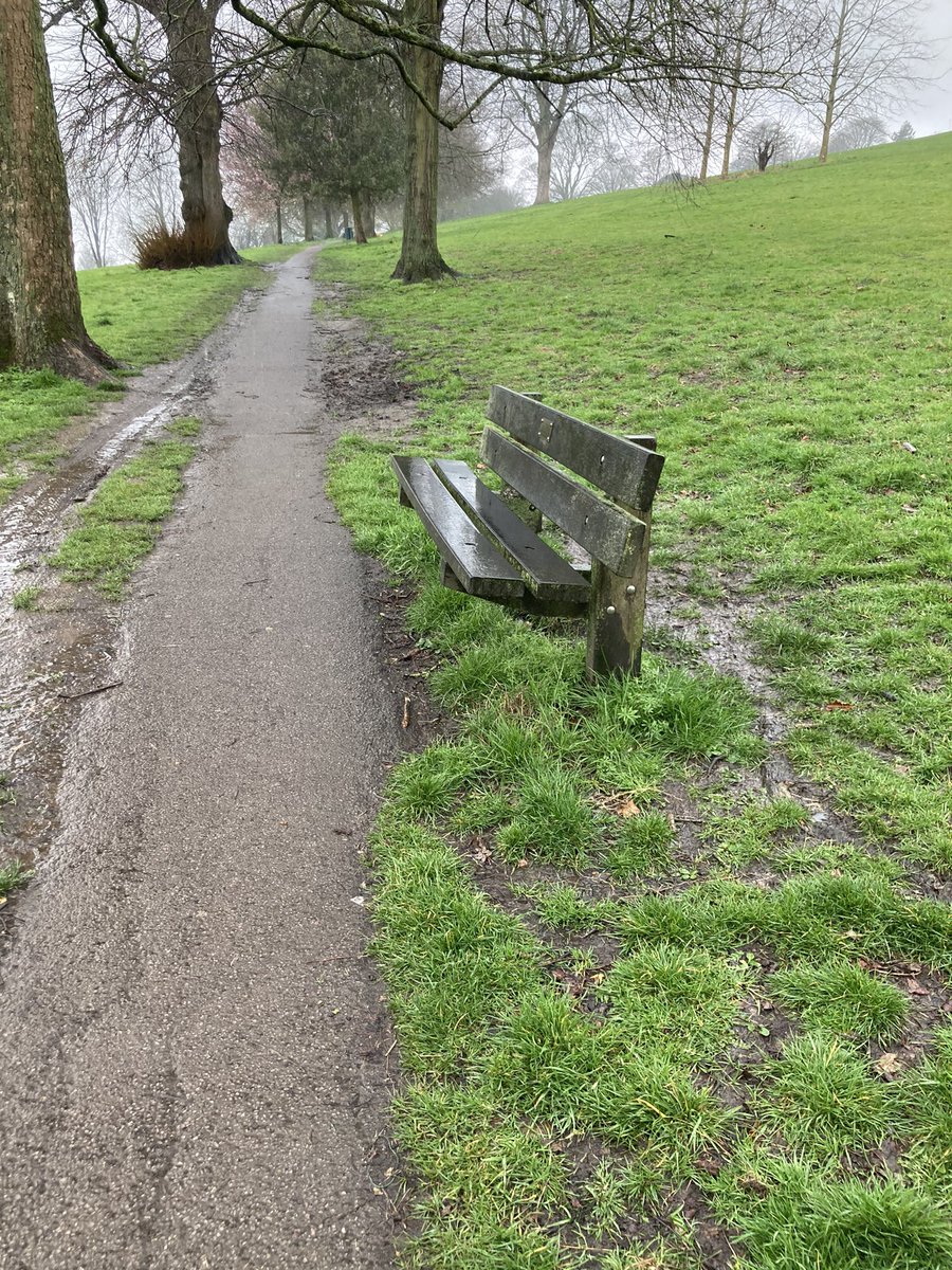 EmilioForBath's tweet photo. One of only two beaches across the entire #HighCommon. Will @BathnesParks support a more welcoming inclusive green space & a residents’ initiative to raise funds for 8 -10 additional benches Queens Jubille legacy ? @bathlive @bathecho @BathWHS @BathPresTrust https://t.co/g9104hfTWQ