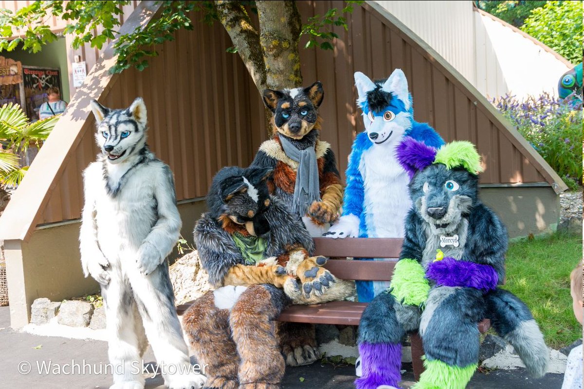 BluishGecko's tweet photo. May I direct you to your seat?
Right in the center, if you'll allow😋
#midweekfuzz #FursuitEveryday

📷@Wachwuffel
🐶@DigoTheHusky, Huscai, AlphaWolf001, Morcyd and yours truly
🧭@FGeiselwind
✂️Cattle Dog #fursuit(s) by @Beetlefursuits https://t.co/cYcmLUBfCA