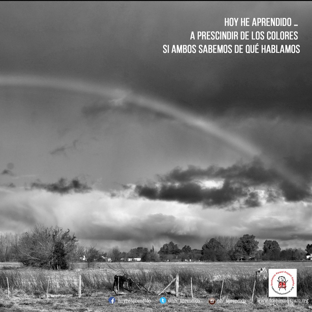 hh_aprendido's tweet photo. Prescinde de los colores si ambos sabemos de qué hablamos
.
.
.
.
.
#sitegustasigueme #duchenne #desafioduchenne #hoyheaprendido #frasedeldia #dmd #musculardystrophy #nonprofit #reflexiones #phraseoftheday #frases https://t.co/JfABSrEV3I