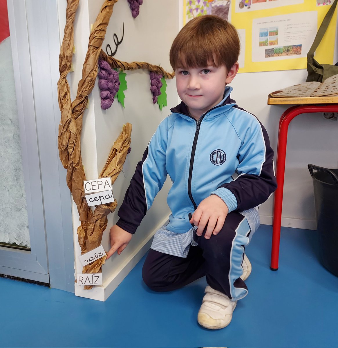 scarned0's tweet photo. La parra de 2.⁰ de Infantil continúa creciendo porque los alumnos han estado investigando con mucha ilusión. Siguen aprendiendo y disfrutando en diferentes actividades y talleres. ¿Hasta dónde va a llegar esta parra? #colegiosHHCC #proyecto #Initio https://t.co/94rVahN3Zf