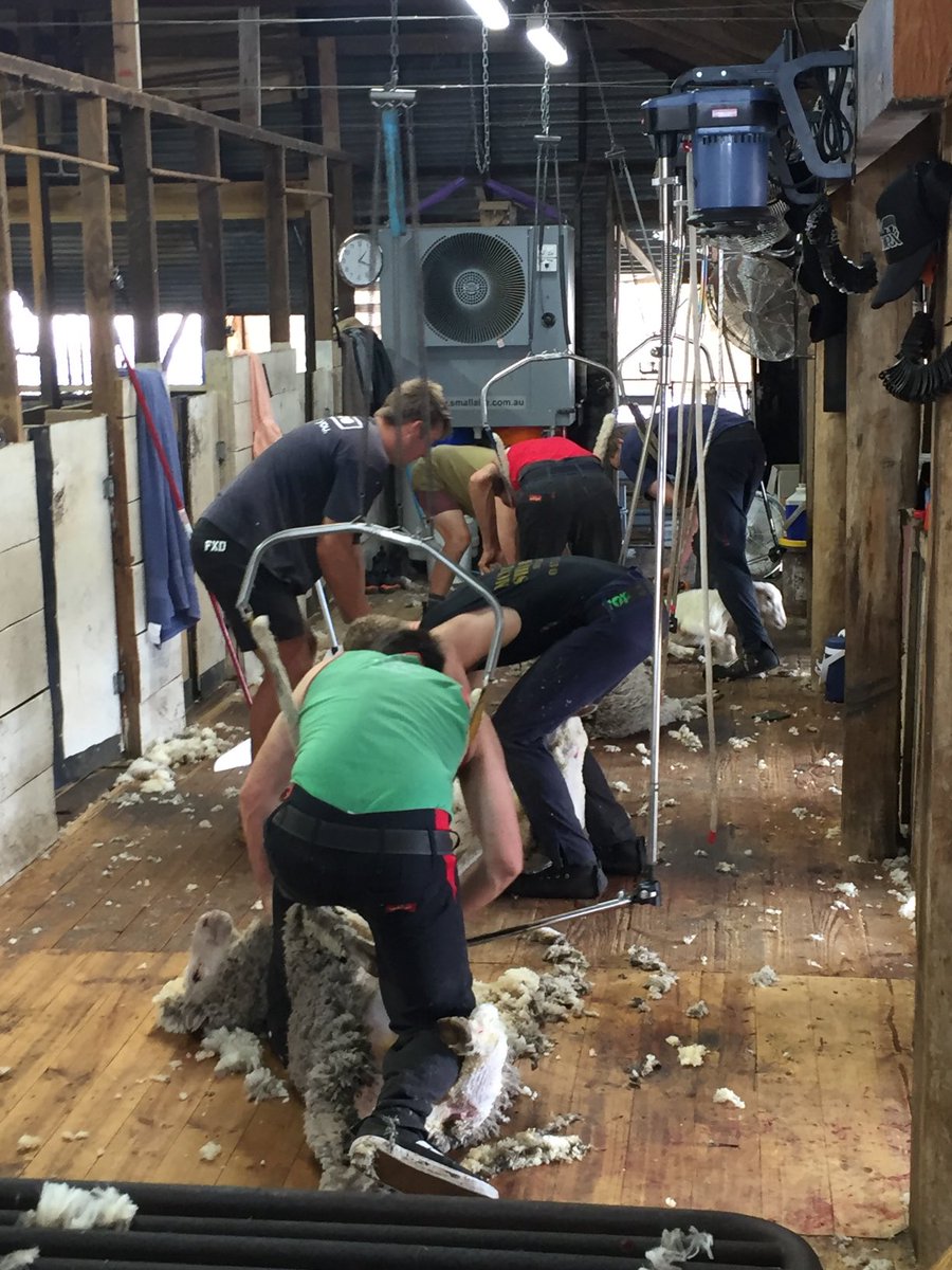 4 on floor, full bore !