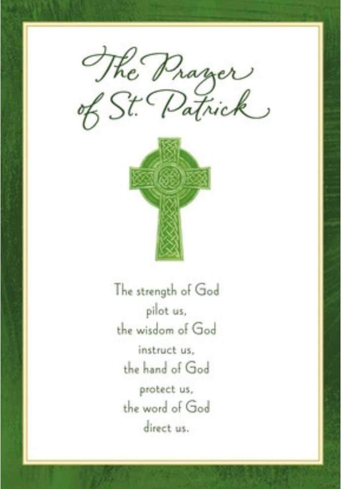 St Thomas More Nun (@stthomasmorenun) on Twitter photo 