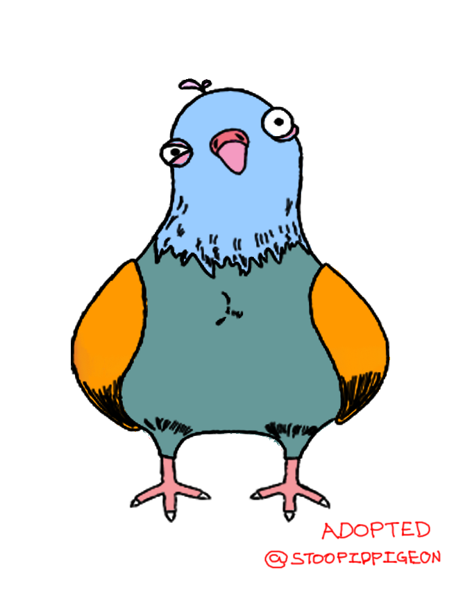 StoopidPigeon's tweet photo. Congrats to @isaacasimoff  and @OGCryptoKush For adopting 2 of the MOST USELESS @stoopidpigeons 

Adopted pigeon1 = @isaacasimoff 
Adopted pigeon2 = @OGCryptoKush

Congrats they have no utility, but you get to shit on anyone

You want the Utilities? Get a REAL @StoopidPigeon https://t.co/wdtJTI4yjQ