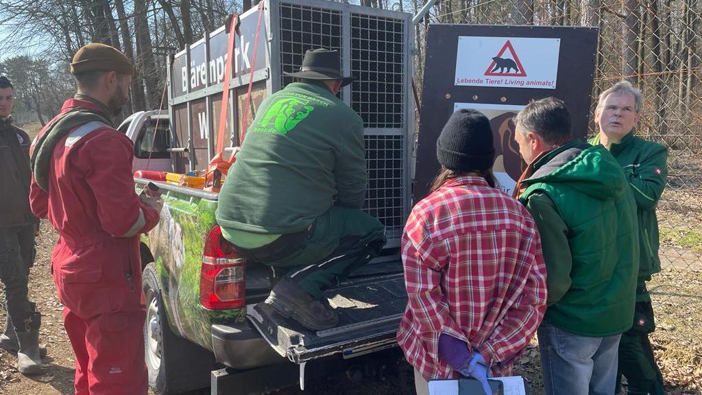 fourpawsint's tweet photo. Transfer of three bears from Ukraine to Germany!   
In an emergency rescue mission, BEAR SANCTUARY Domazhyr accepted seven bears that were evacuated  from White Rock Shelter. Now they arrived in Germany! https://t.co/Kly0aOuGhX